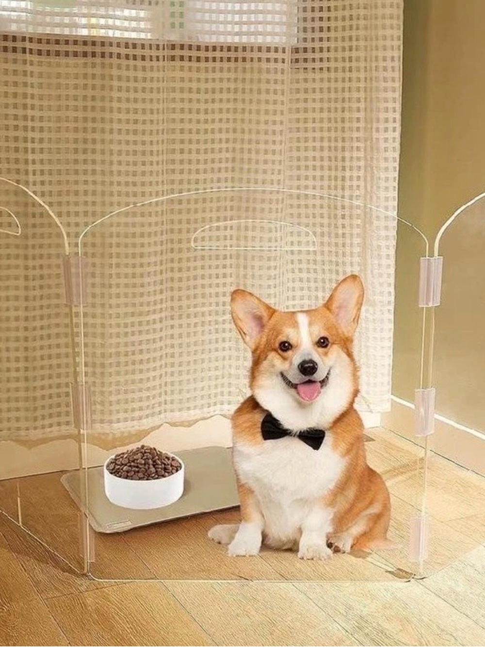3 Panel Acrylic Pet Gate